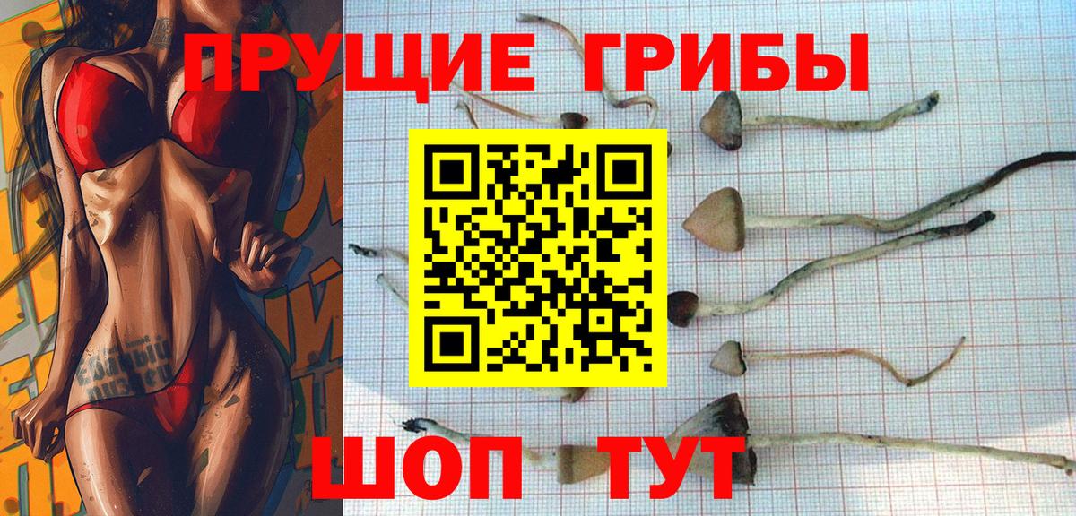 Галлюциногенные грибы Cubensis Миасс