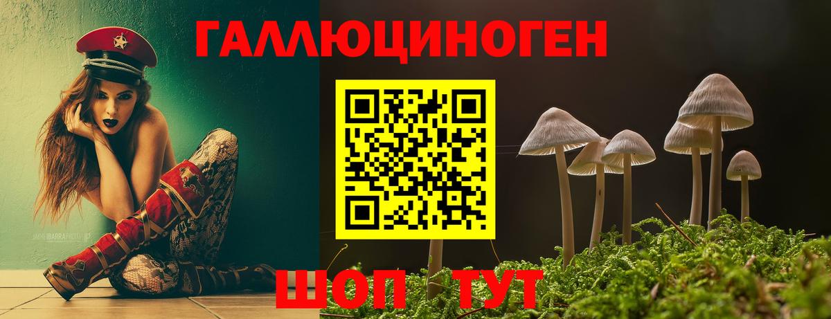 Псилоцибиновые грибы MAGIC MUSHROOMS  Вход с VPN  Миасс  Псилоцибиновые грибы MAGIC MUSHROOMS 